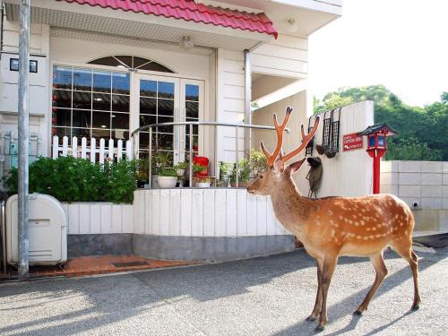 Nara Bed & Breakfast | Hotel Cotton 100%