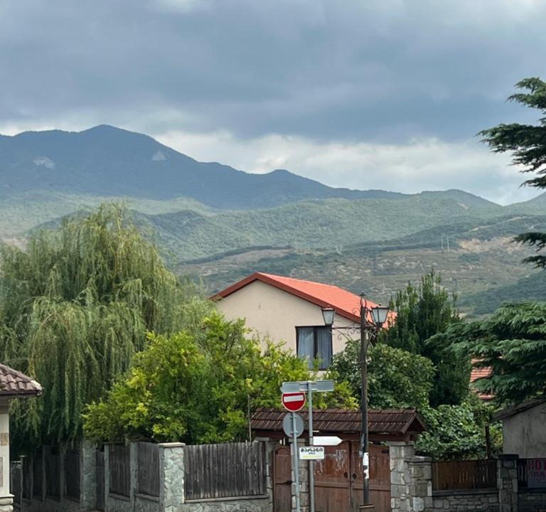 Mtskheta Apartment | Mtskheta View Hotel