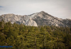 Idyllwild Camping Resort Wheelchair Accessible Cottage in Idyllwild