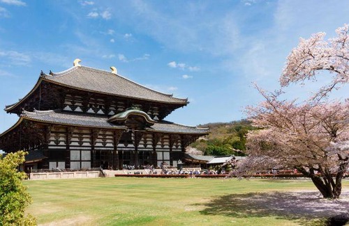 Nara Bed & Breakfast | 30 m² Bed and breakfast ∙ 8 guests