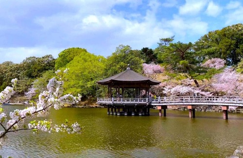 Nara Hotel | 42 m² Hotel ∙ 127 guests