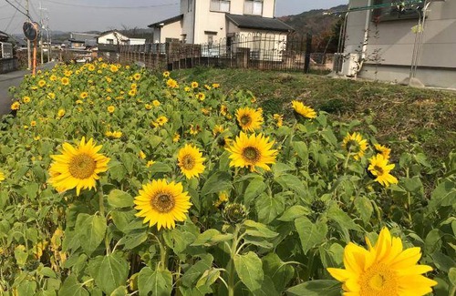 Tenri Bed & Breakfast | Bed and breakfast ∙ 4 guests