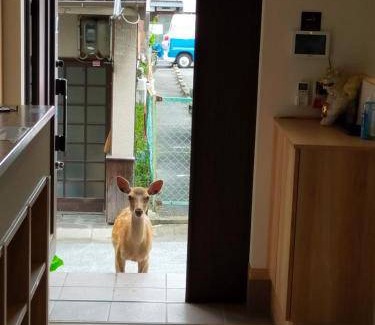 Nara Bed & Breakfast | Bed and breakfast ∙ 3 guests