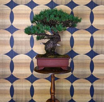Sakurai House | 宿Joan