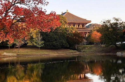 Nara Villa | 100 m² Villa ∙ 3 bedrooms ∙ 7 guests