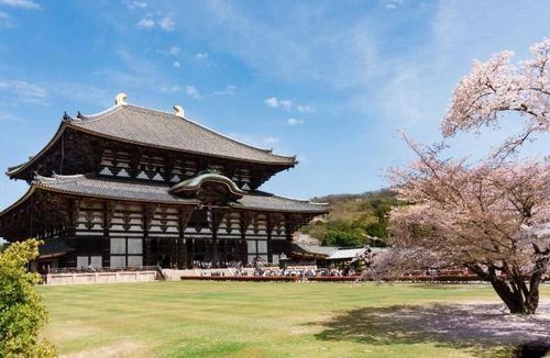 Nara Bed & Breakfast | 30 m² Bed and breakfast ∙ 8 guests