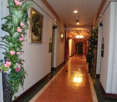 Kashiba Hotel | 35 m² Hotel ∙ 2 guests