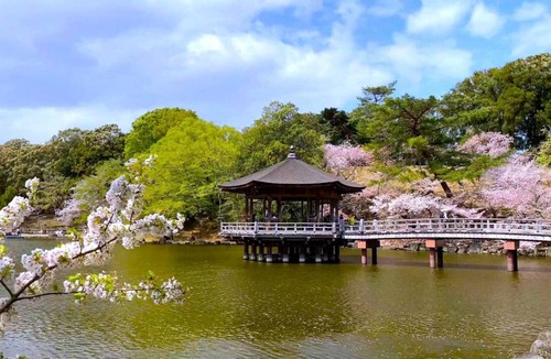 Nara Hotel | 42 m² Hotel ∙ 127 guests
