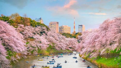 Udagawacho Apartment | Apartment 2 Bedrooms in Tokio Japon