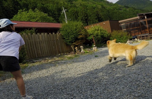 Tenkawa Hotel | Camp Base Kadojin