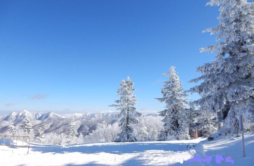 Shiga Highlands Hotel | Hotel Sunny Shiga
