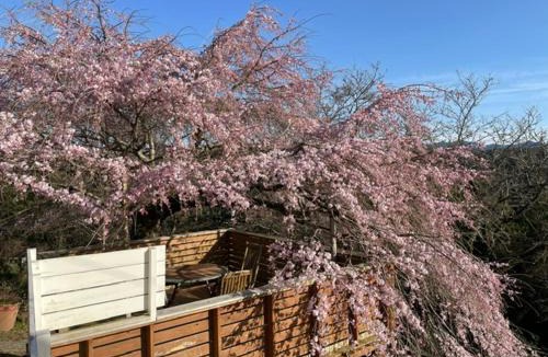 Oyodo Bed & Breakfast | Houtouji Temple
