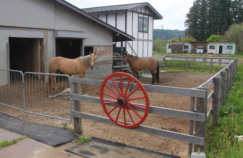 Oshu House | Limited to one group per day! Enjoy a spacious, country-style atmosphere (pets welcome)