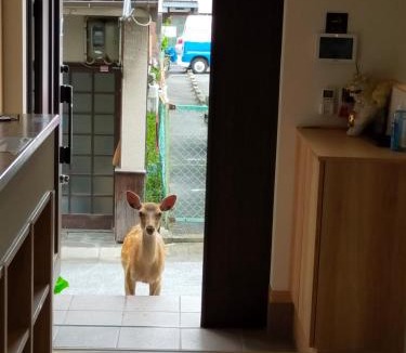 Nara House | Mini inn Nara - Naramachi historic district - 英語予約限定