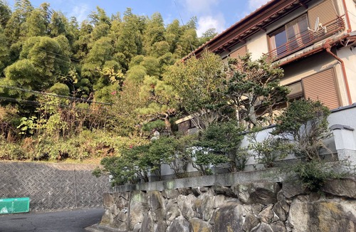 Sango House | Piano Guest House