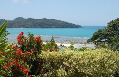 Anse La Mouche Cabin | Sailfish Beach Villas