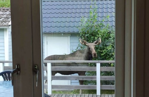 Svanesund House | Spacious cottage in Svanesund near beach and grocery store | SE09163