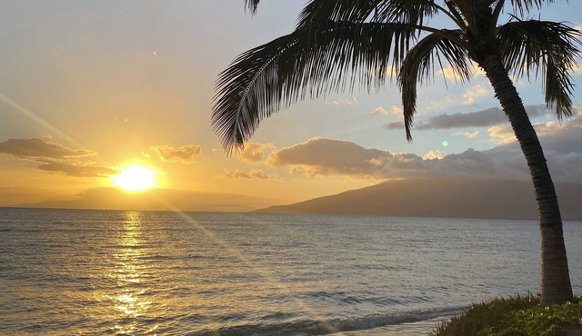 2BR/1BA BEACHFRONT GREAT LOCATION July 2026-Sept 2026 Discounted! in Kihei