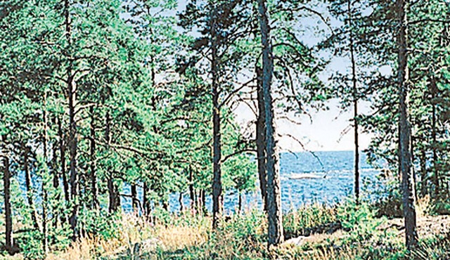 4 bedroom accommodation in Hammarö in Hammarö