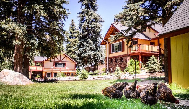 Alpen Way Chalet Mountain Lodge in Evergreen