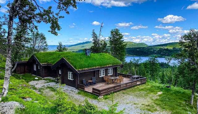 Awesome home in Flå with sauna in Flå