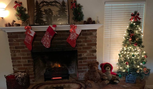 Bear Hollow — Sequoia's Best — All Bears Agree! in Three Rivers