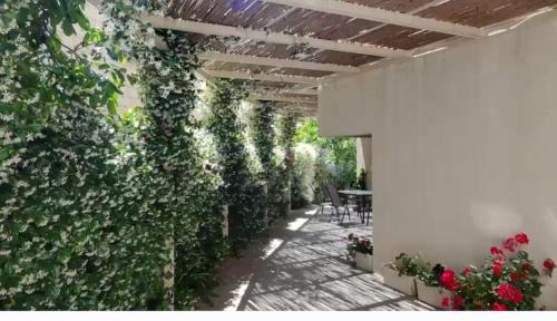 Bitra hermon suites in Mas'ade