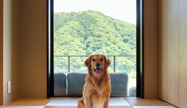 BRakuten STAY TERRACE Kinosaki Riverside 3 Queen 4 Single Beds Pets Allowed/Toyooka City Hyōgo