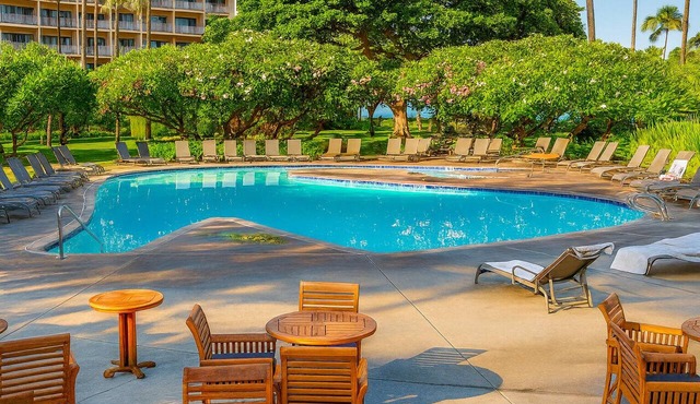 Breathtaking Oceanfront Views! 3 Units, Minutes to Pacific Whale Foundation in Lahaina