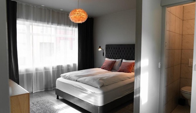 Charming and Renovated Apartment in Reykjavík City Centre