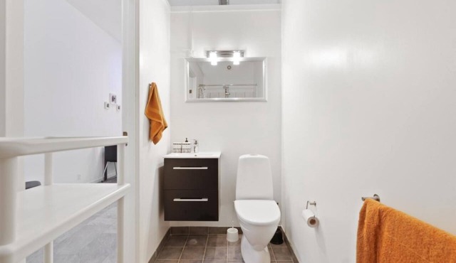 Charming - Luxurious 1 bedroom apartment in The Heart of Aalborg in Aalborg