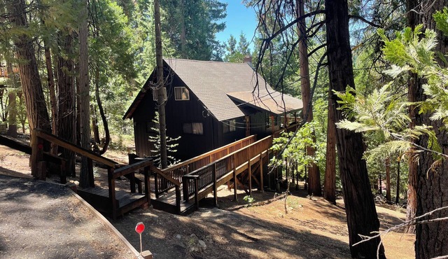 Charming Pet-friendly Chalet-style Cabin Getaway —Lakemont lake access in Arnold