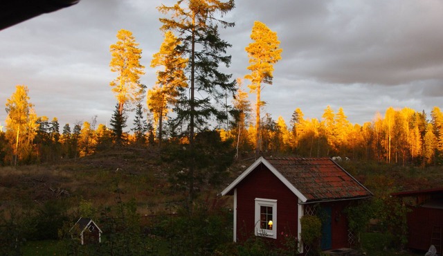 Cozy accommodation with rural charm in Vingåker