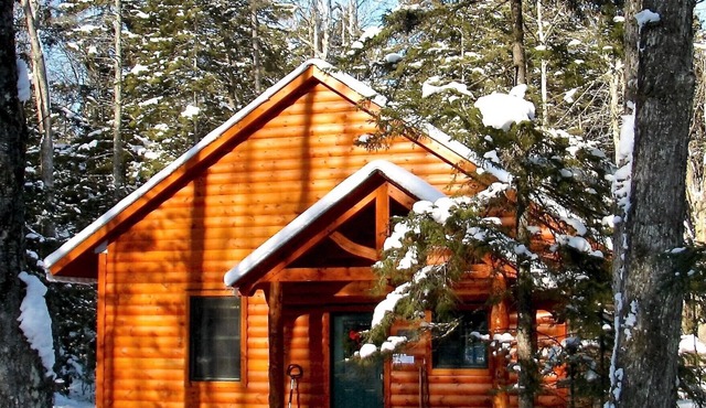 Cozy and pristine timberframe cabin in Ripton