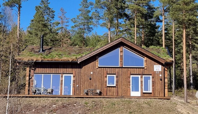 Cozy cabin in Vrådal