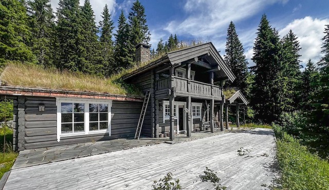 Cozy home in Eggedal with WiFi in Eggedal