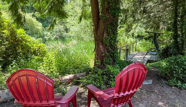 Dragonfly Haven in Sequim