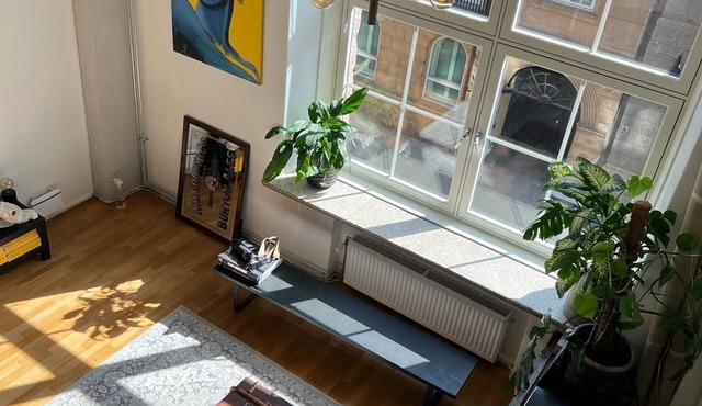 Duplex apartment in the heart of Oslo