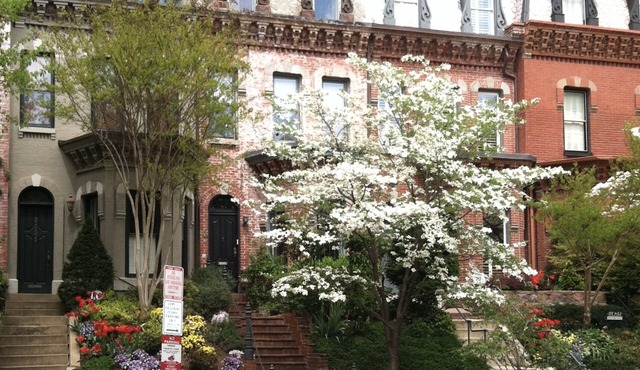 Exceptional home & location in Dupont Circle