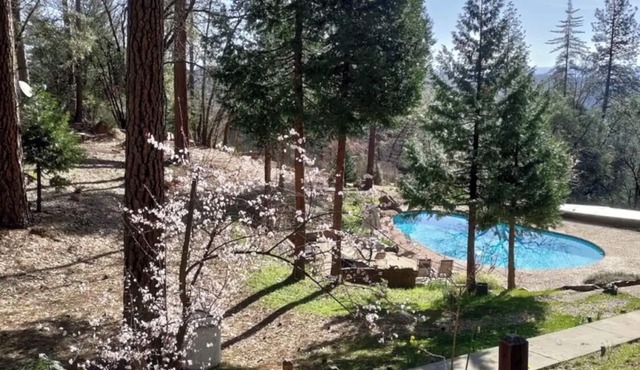 Forest Studio with Pool & Mountain View’s in Grass Valley