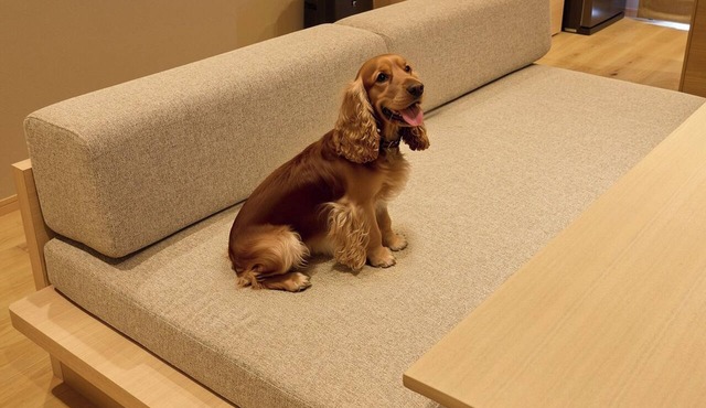 FRakuten STAY TERRACE Kinosaki Riverside2 Queen 1 Sofa BedPet Allowed/Toyooka City Hyōgo