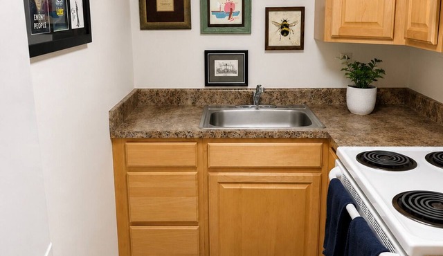 Georgetown Studio Furnished English Basement