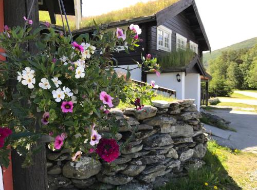 Granmo Camping in Oppdal