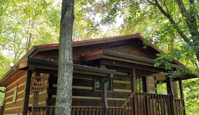 Honeymoon Cabin, Very Secluded, Very Romantic, Arcade, FREE Daily Bear Sightings