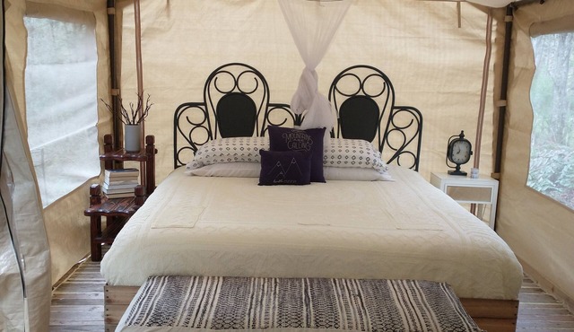Memorable Forest Stay with Hot Tubs + Beaches nearby in Marrowstone