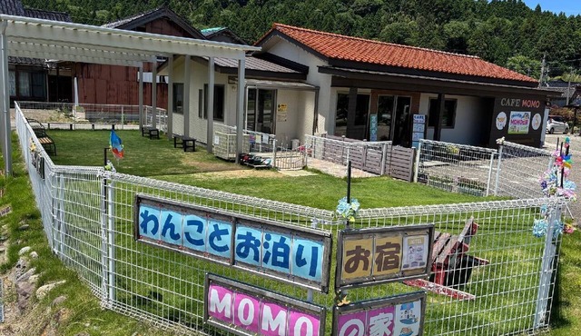Momo House Dog-friendly Stay