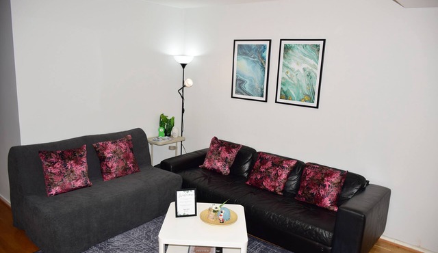 Nice and Cozy apartment in Oslo Central- 2Bedrooms
