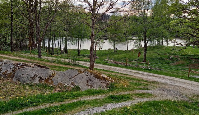 Nice home in Gislaved with 3 Bedrooms, Sauna and WiFi in Gislaved