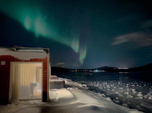 Norwegian Wild in Trany