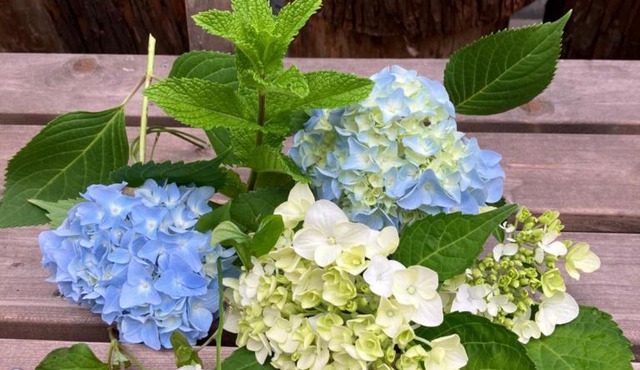 Otsu Nature Garden